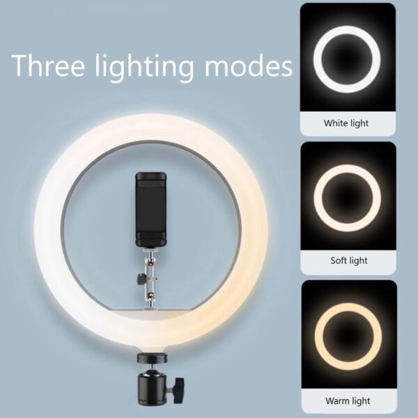 Top Shot Fill Light For Rotatable Overhead Stand - Image 8