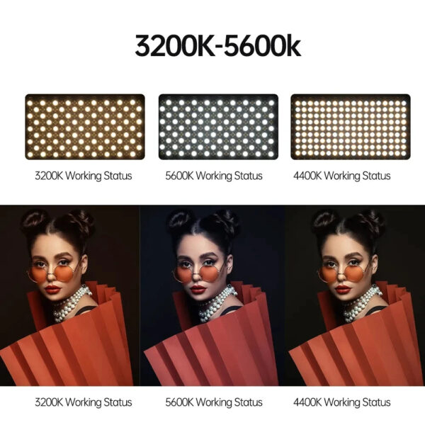 LED Professional Light Pro LED 800 - Image 3