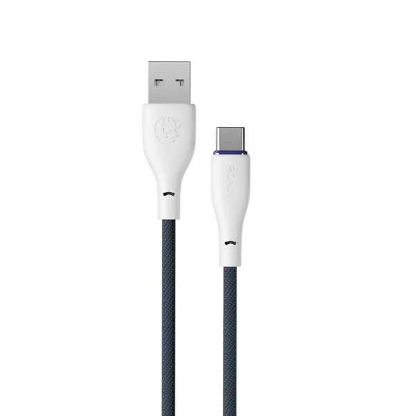 FLEXIN | R-2025 Type-C Cable - Image 2