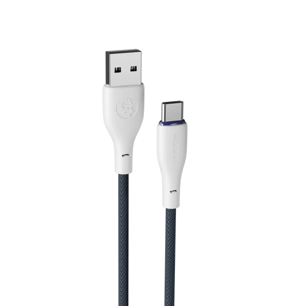 FLEXIN | R-2025 Type-C Cable